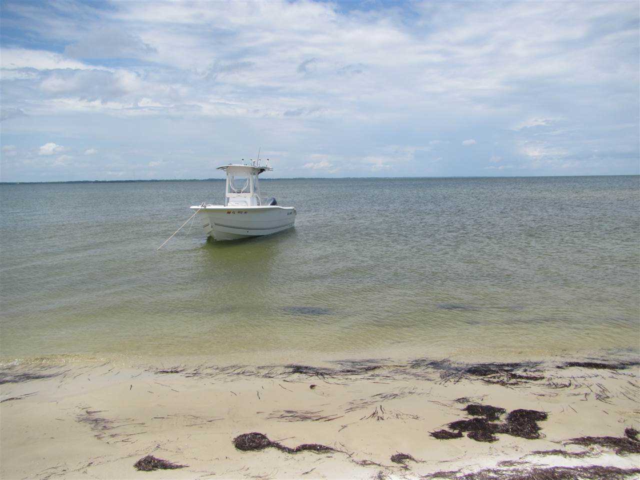 5 Dog Island Carrabelle, FL 32322 in