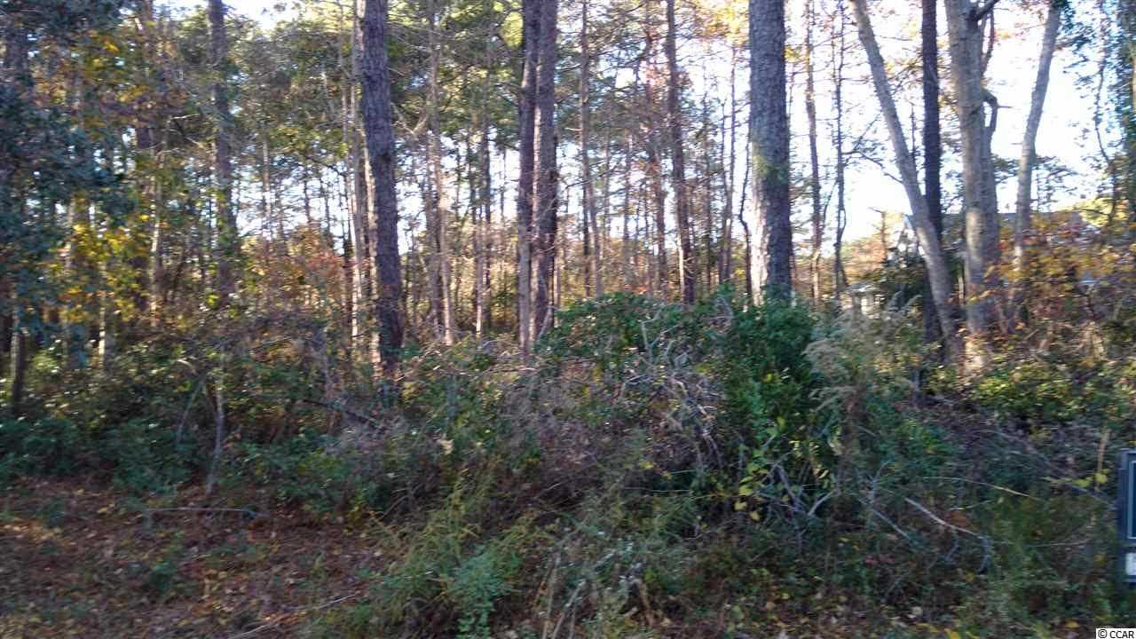 tbd Kings River Rd. Pawleys Island, SC 29585 | MLS 1824282 Photo 1