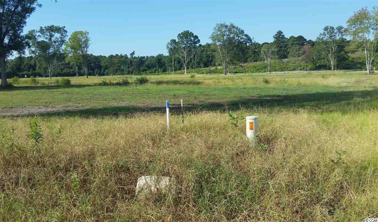 Lot 2 Math Place Little River, SC 29566 | MLS 1900649 Photo 1
