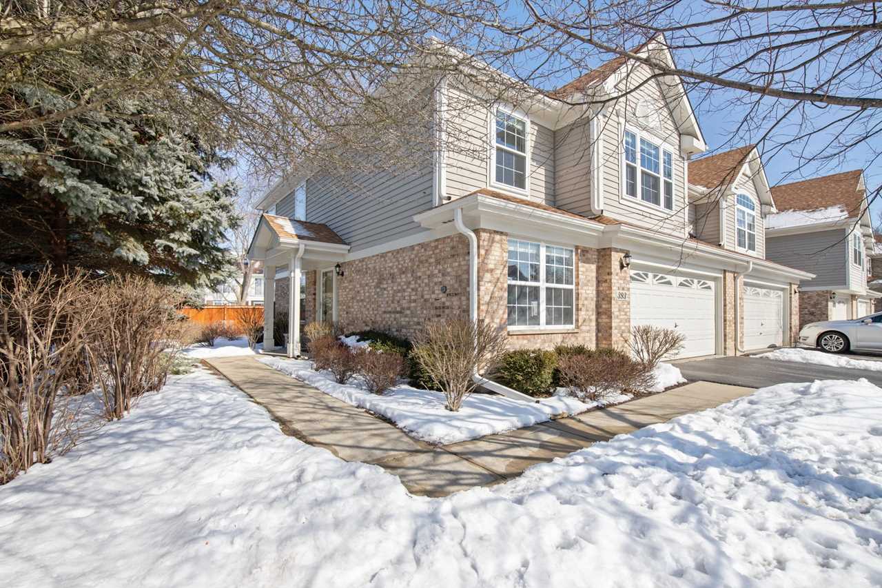 393 Bloomfield Ct Vernon Hills, IL 60061 | MLS 10266783 Photo 1