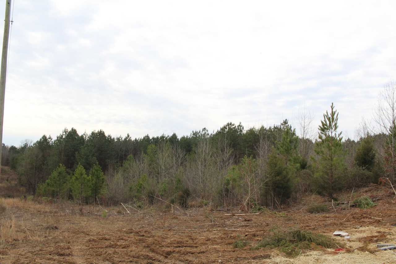 Lot 11 12 County Road 775 Riceville TN 37370 in | MLS 1069373 - GreatLifeRE.com Photo 1