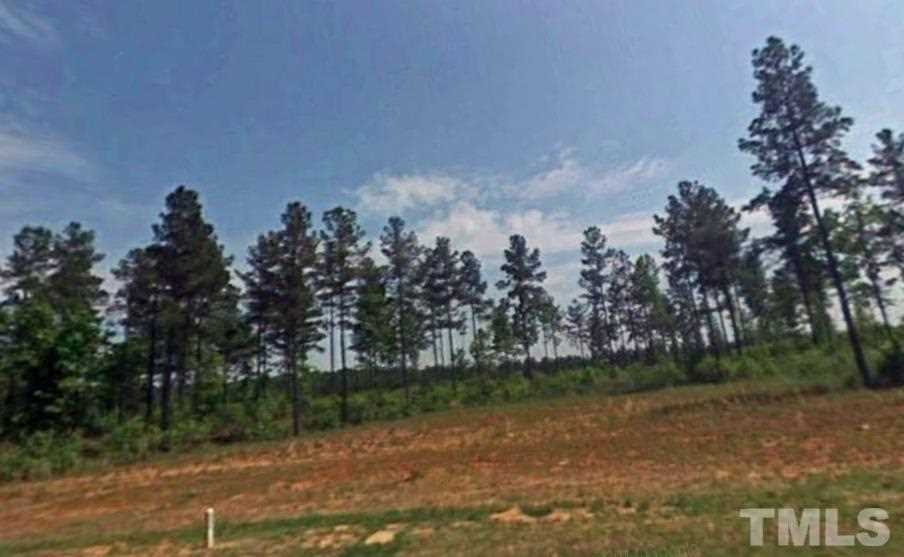 908 Golfers View Pittsboro, NC 27312 | MLS 2236482 Photo 1