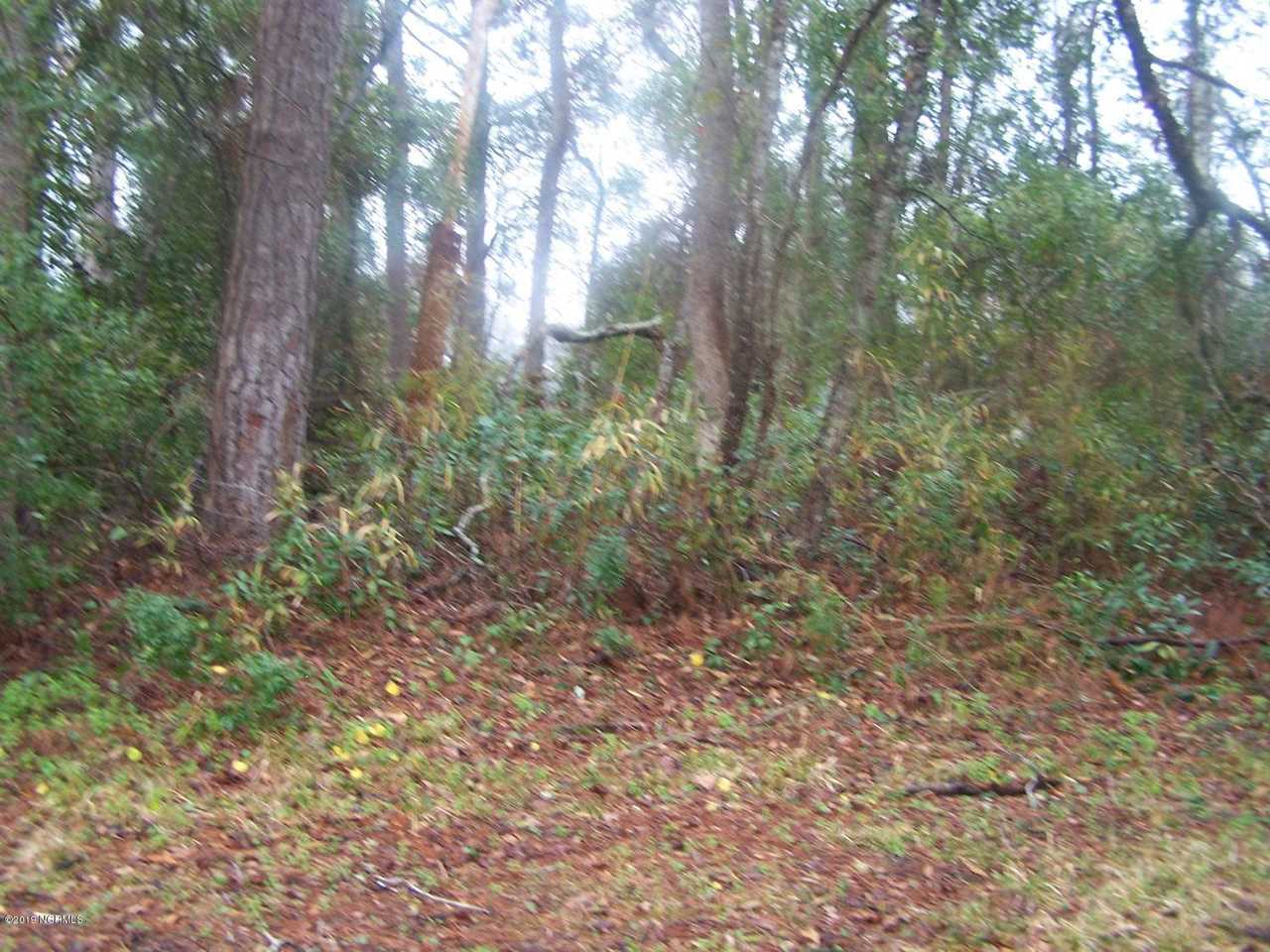 L-31 NW 21st Street Oak Island Wooded, NC 28465 | MLS 100150010 Photo 1