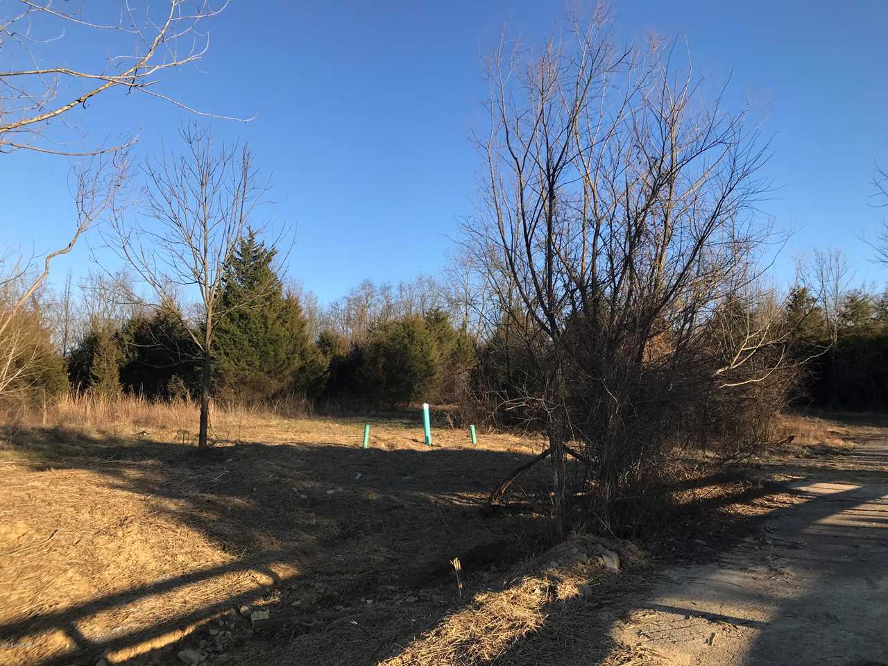 Persimmon Homes Share Price >> 370 Arthur Hills Way Louisville, KY 40245 | MLS #1527333 Persimmon Homes Share Price >> 370 Arthur Hills Way Louisville, KY 40245 | MLS #1527333