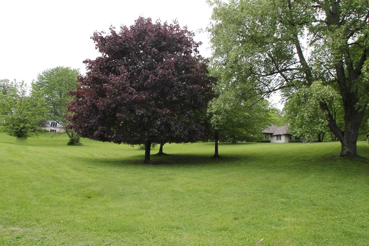 104 Trem Pell Lane Granville, OH 43023 | MLS 219010484 Photo 1