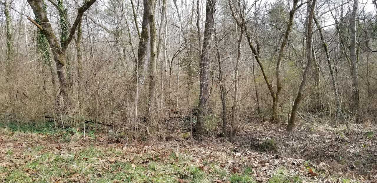 6318 SW Stonecress Ln Knoxville, TN 37920 | MLS 1069403 Photo 1