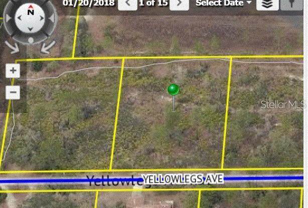 Yellowlegs Avenue Weeki Wachee, FL 34614 | MLS W7804031