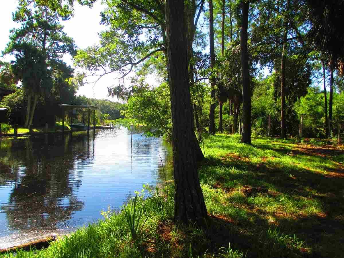 4111 Spring Creek Highway Crawfordville, FL 32327 in Springcreek