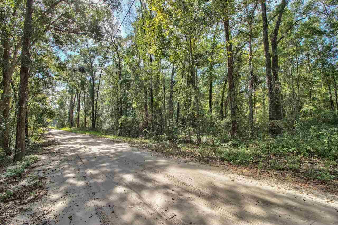 1120 Sandy Acres Trail Tallahassee, FL 32317 in