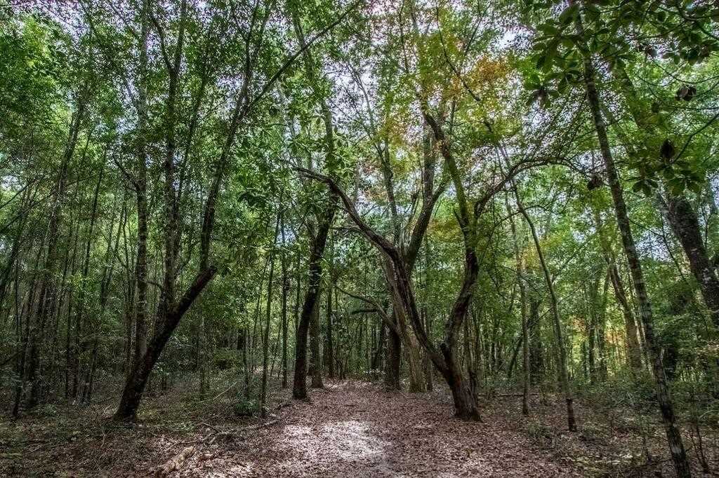 93 Dusky Way #Lot 99 Freeport, FL 32439 | MLS 835295 Photo 34