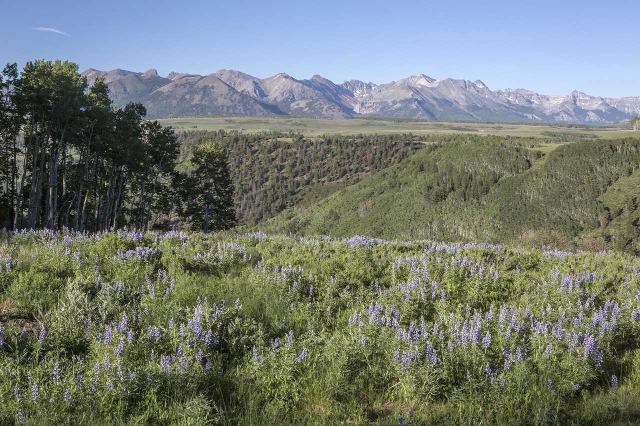 TBD Porcupine Rd Placerville, COLORADO 81430 MLS 38221