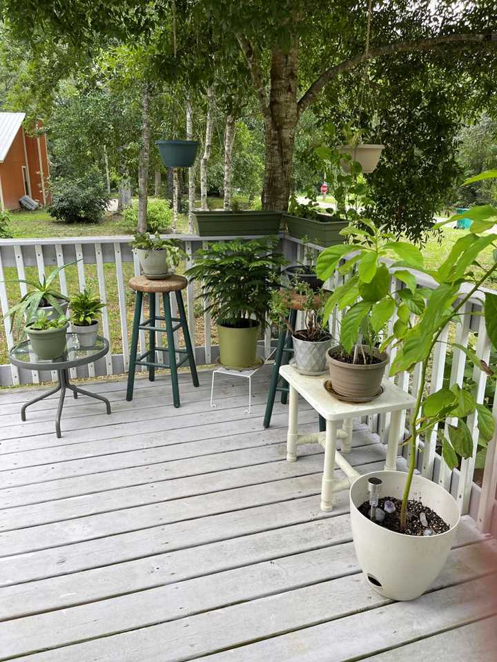 40 Horseshoe Lane Freeport, FL 32439 | MLS 877641 Photo 5