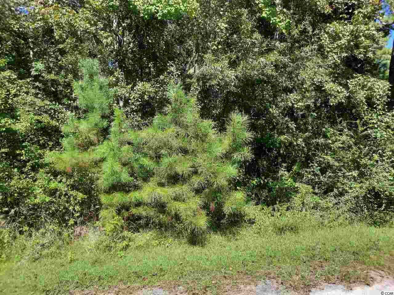 Lot 9 E Wisteria Dr. Hemingway, SC 29554 MLS 2021314