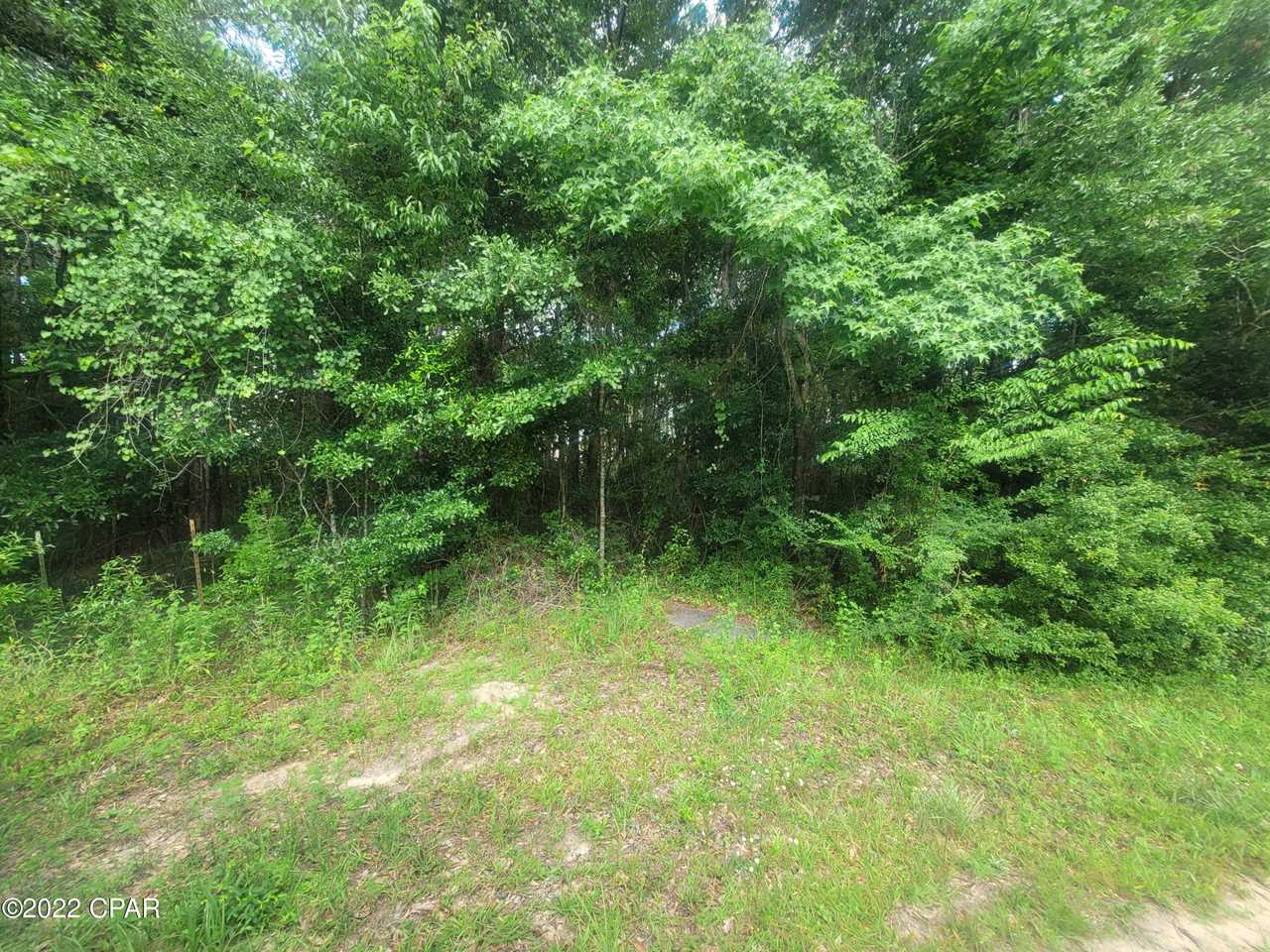 Caryville lot for sale for sale 000 Pate Pond Rd