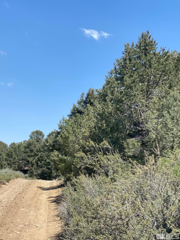 TBD Pine Nut Mountains (27) Gardnerville, NV 89410 MLS 220009724