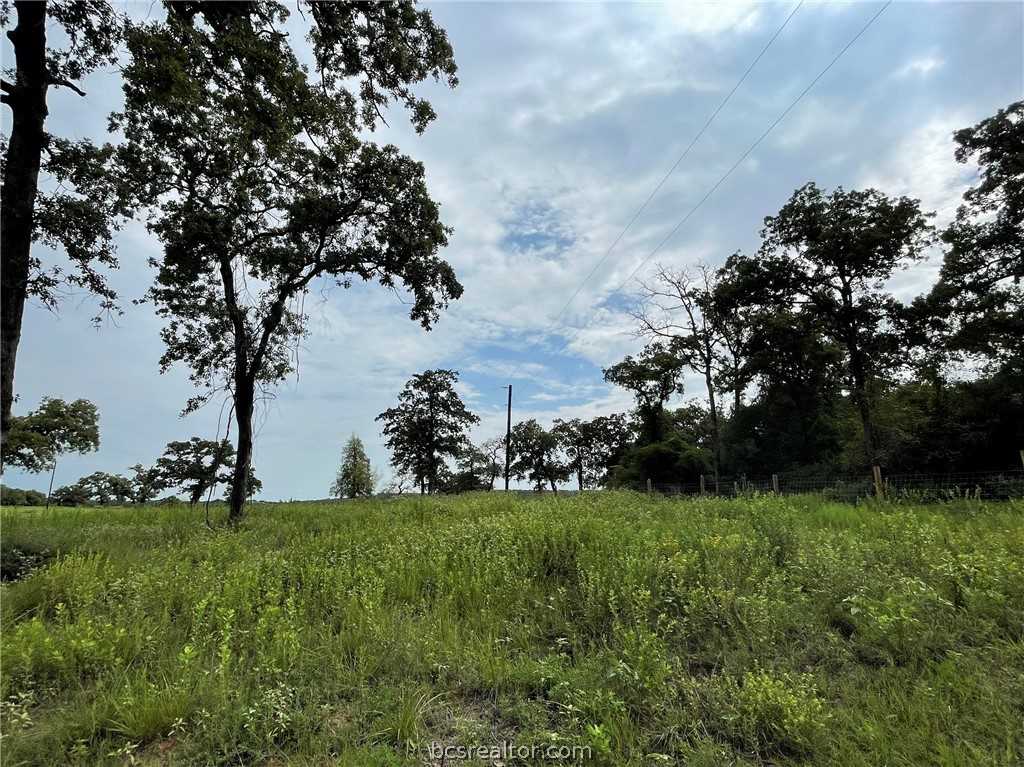 2818 County Rd 426 Marquez, TX 77865 MLS 22013222