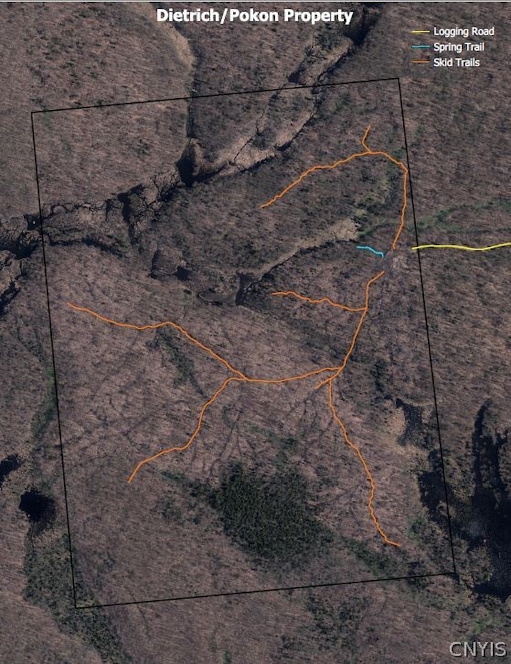 00 Mill Stream Rd Osceola, NY 13437 MLS S1425814