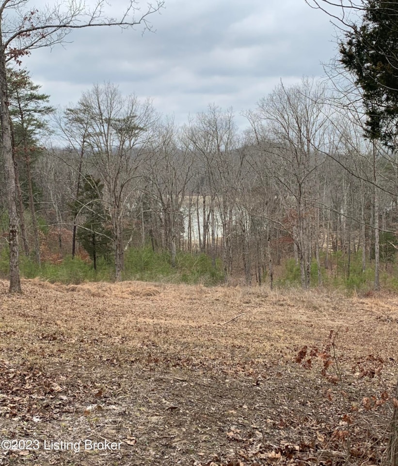 730 Danes Hill Rd Clarkson, KY 42726 1631771 Greensward Iv 149,900