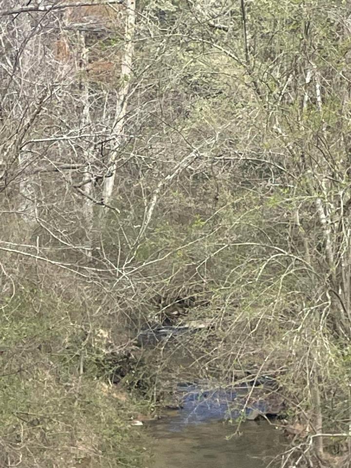 Crow Mountain Road Rd, Russellville, Pope county, AR 72802