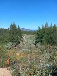 Backbone Rd Bella Vista CA 96008 MLS 23 1713 Backbone Rd Bella Vista CA 96008 MLS 23 1713