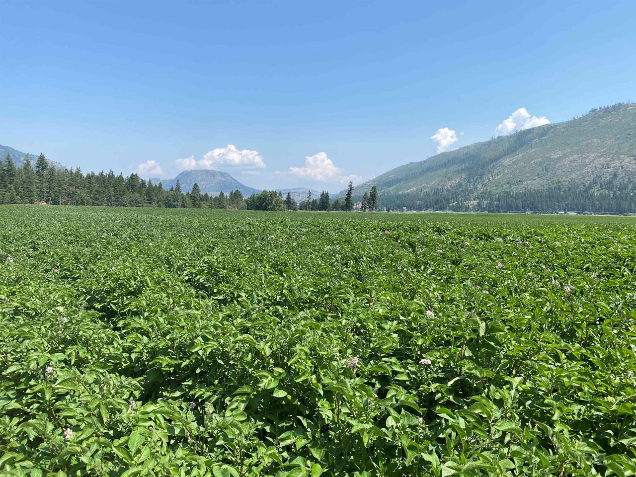 2 Mclure Ferry Road No City Value, BC V0E 2H0 MLS® R2805476