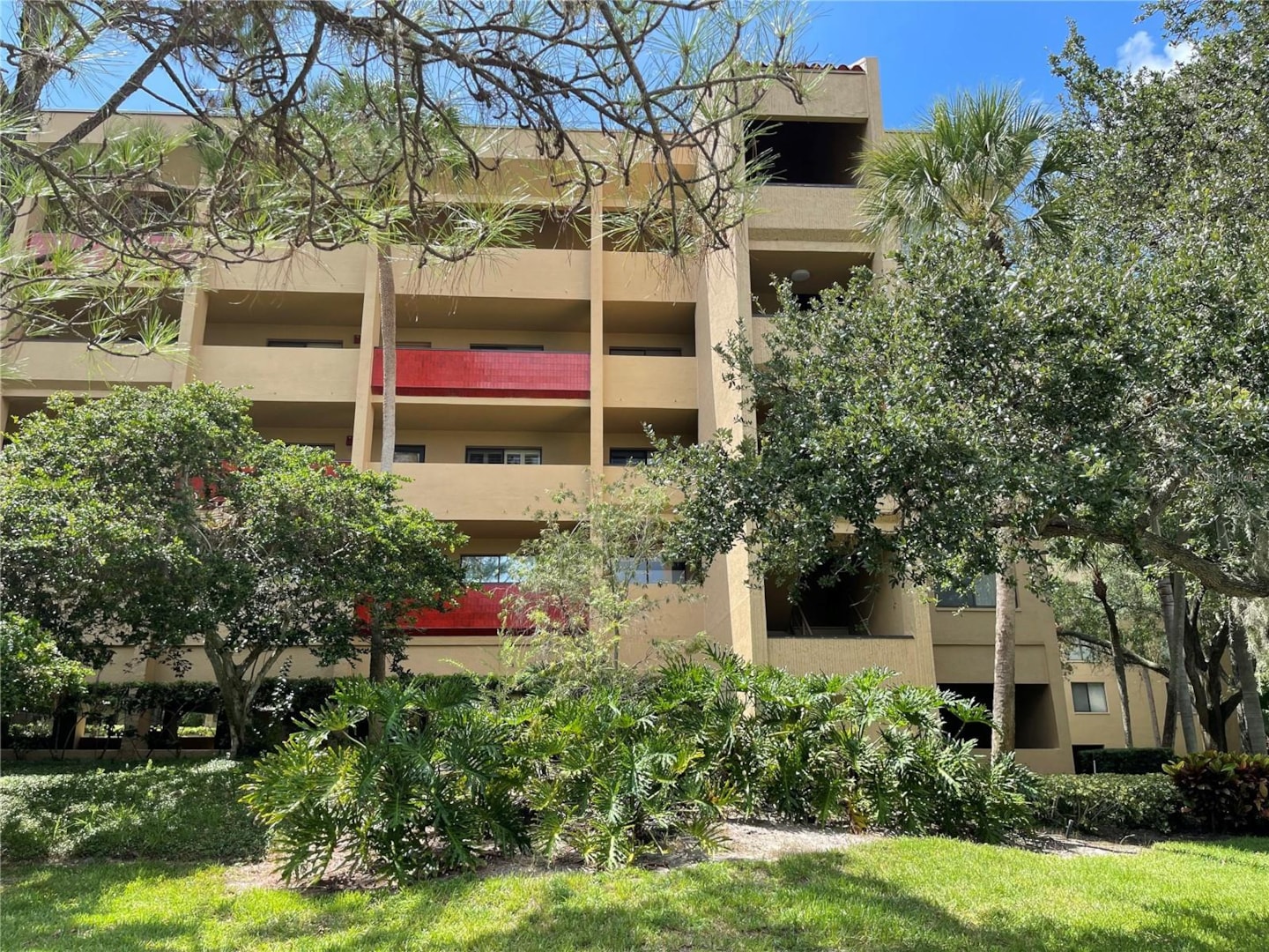 3078 Eastland Blvd 215 Clearwater, FL 33761 MLS U8210042