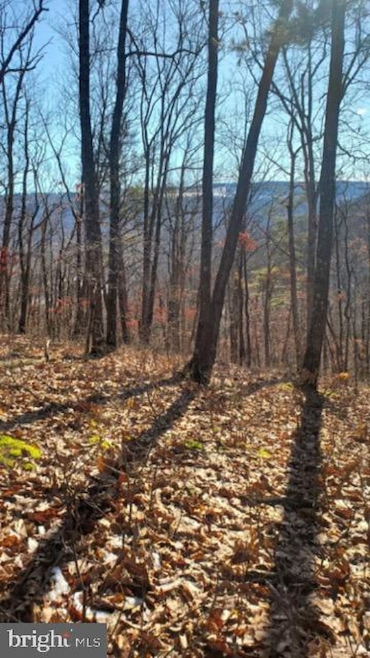 Mudlick Road Julian, PA 16844 lot for sale KBB