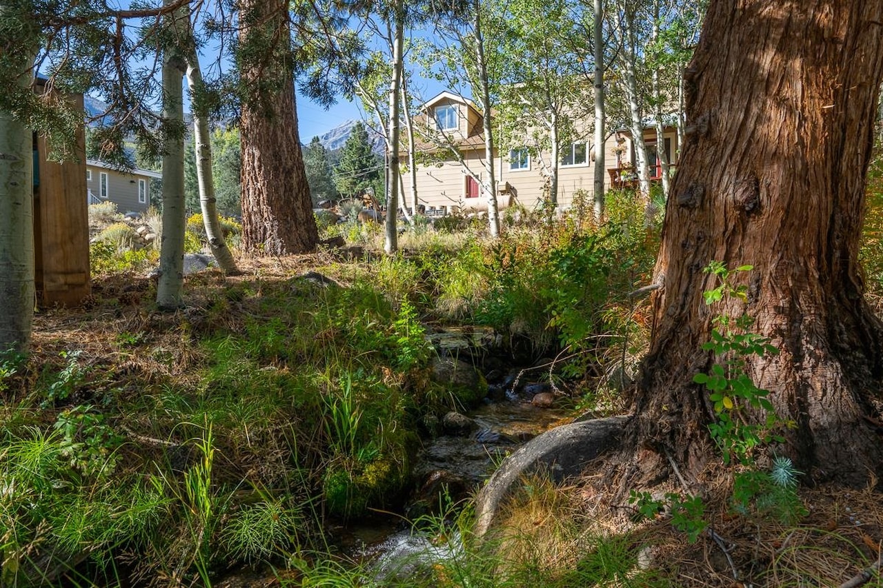 439 Juniper Drive Crowley Lake, CA 93546 MLS 230097