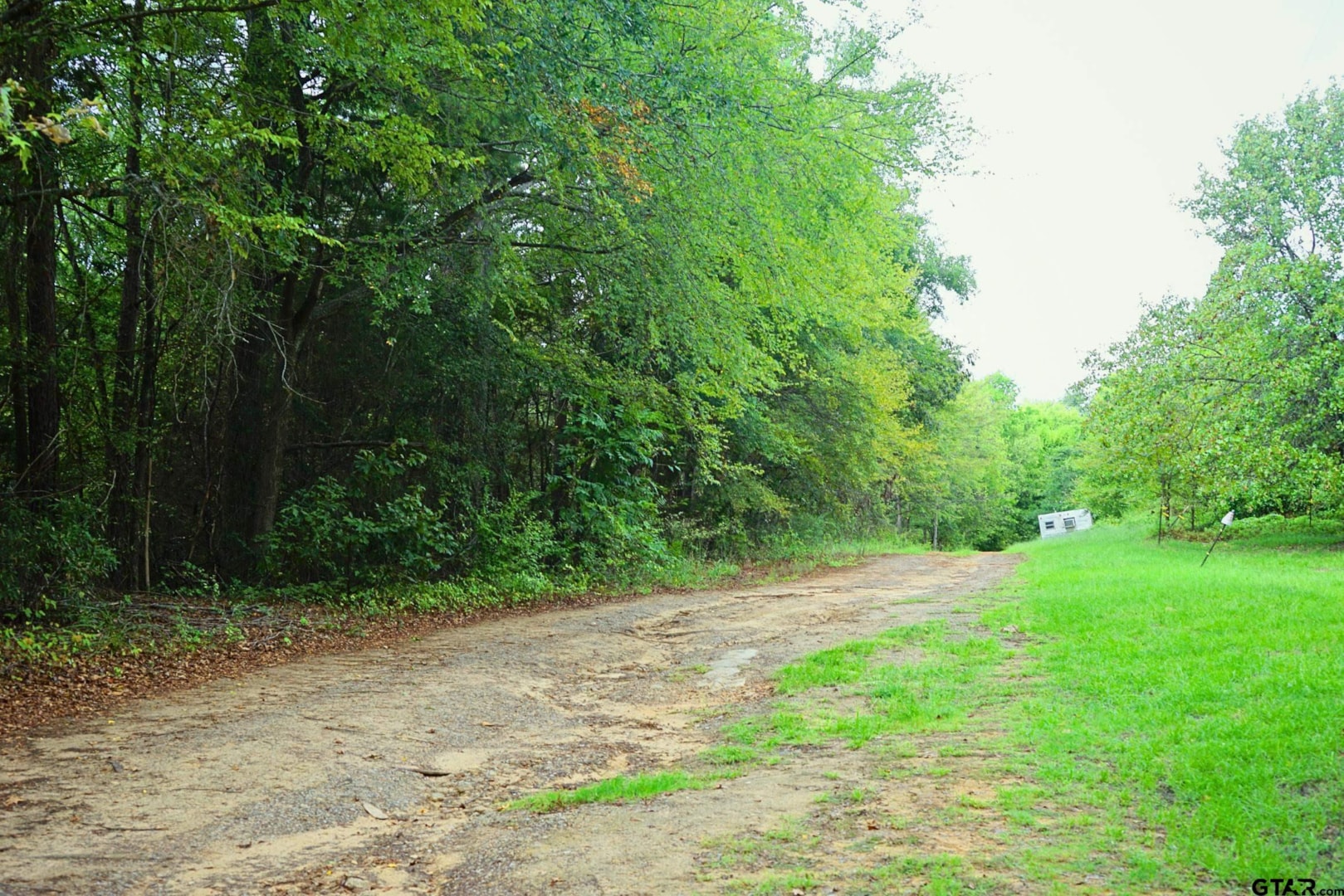 968 County Road 3908, Jacksonville, TX 75766 MLS 23013568