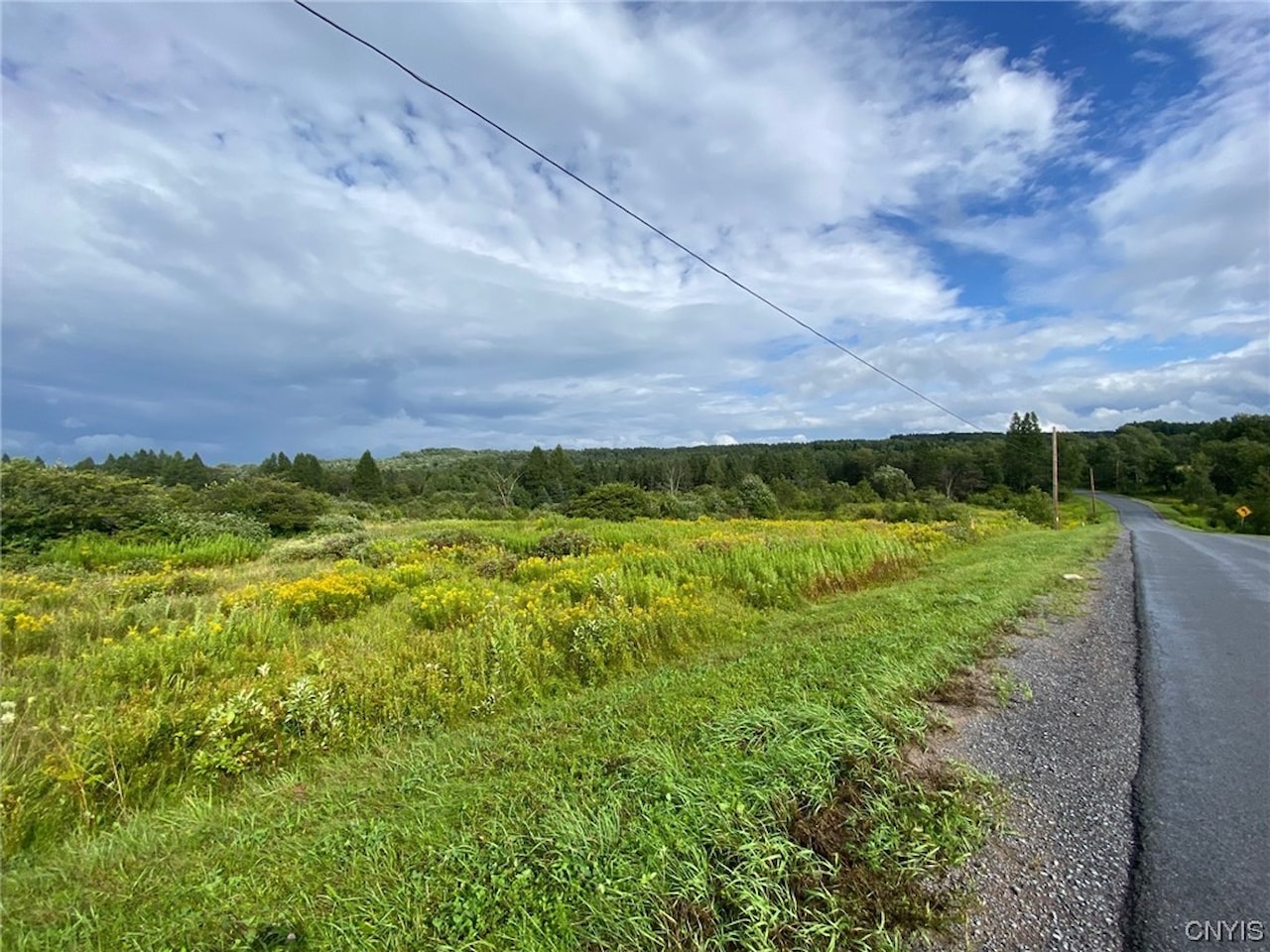 4625 Kraeger Rd Constableville, NY 13325 MLS S1501864