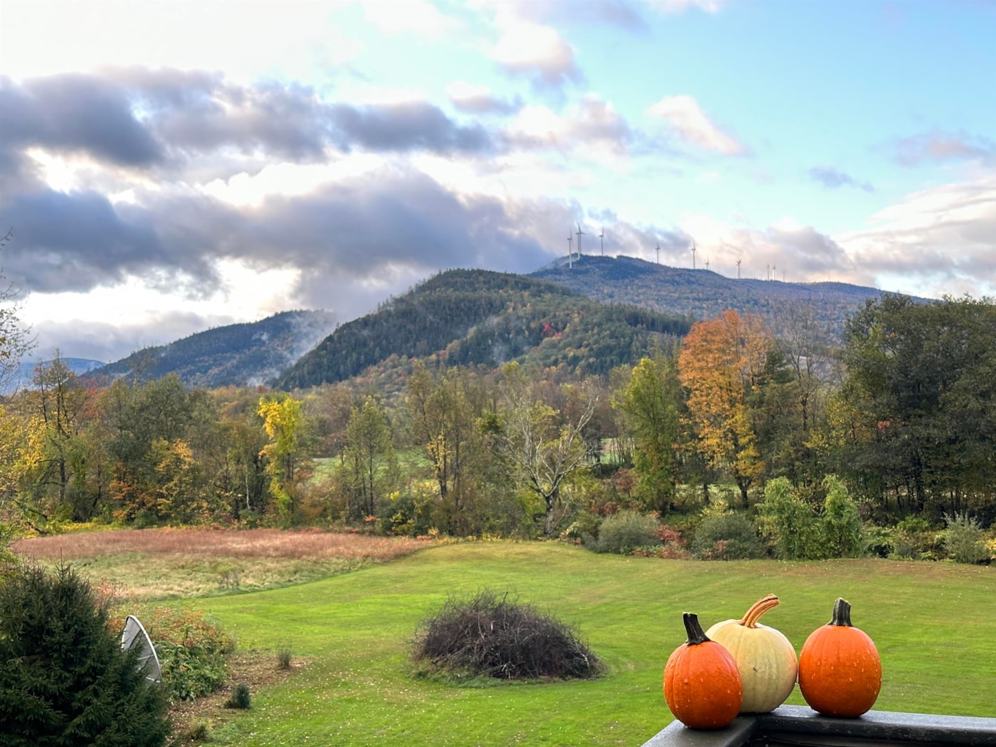 648 Quincy Rd Rumney 03266 NH home for sale 649,900 4976538