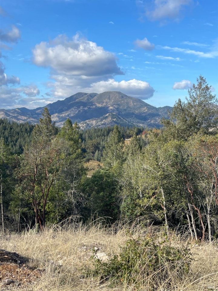Diamond Mountain Road Calistoga, CA 94515 MLS 323926026