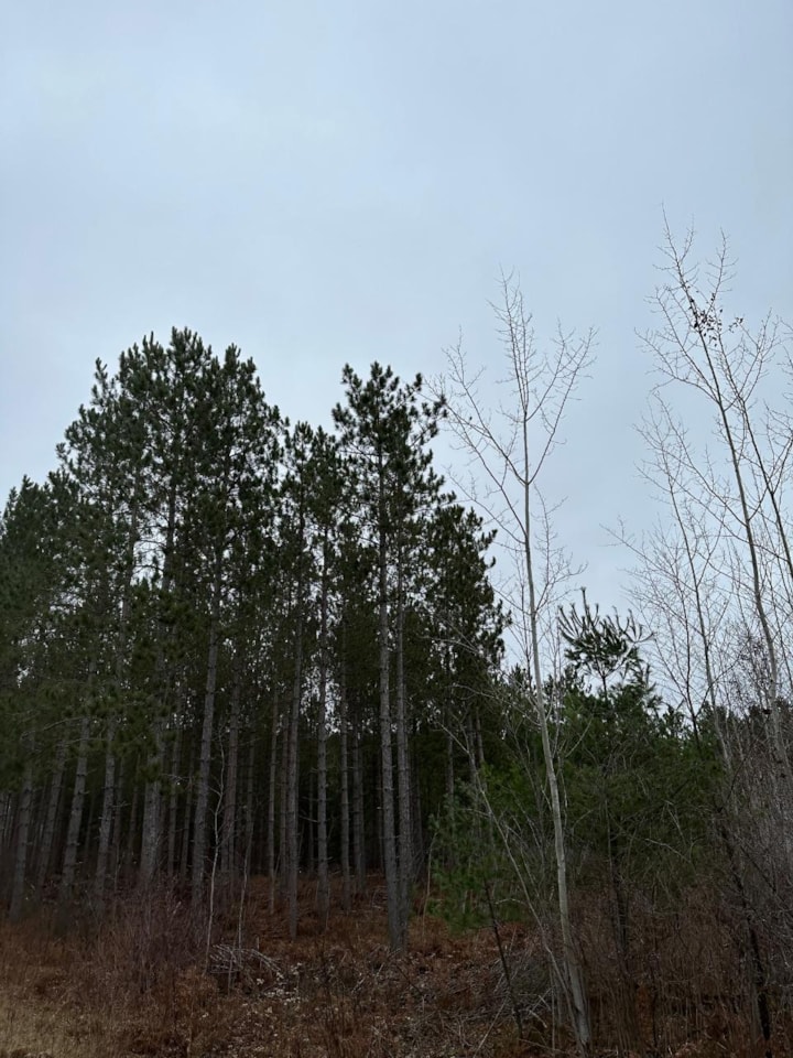 ON Swamp Lake Rd Tomahawk, WI 54487 MLS 204748