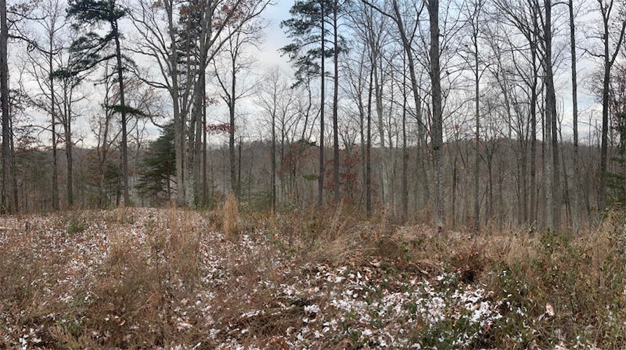 Lot 7 Sandstone Point, Monticello, KY 42633 | MLS 23022377 | $30,000