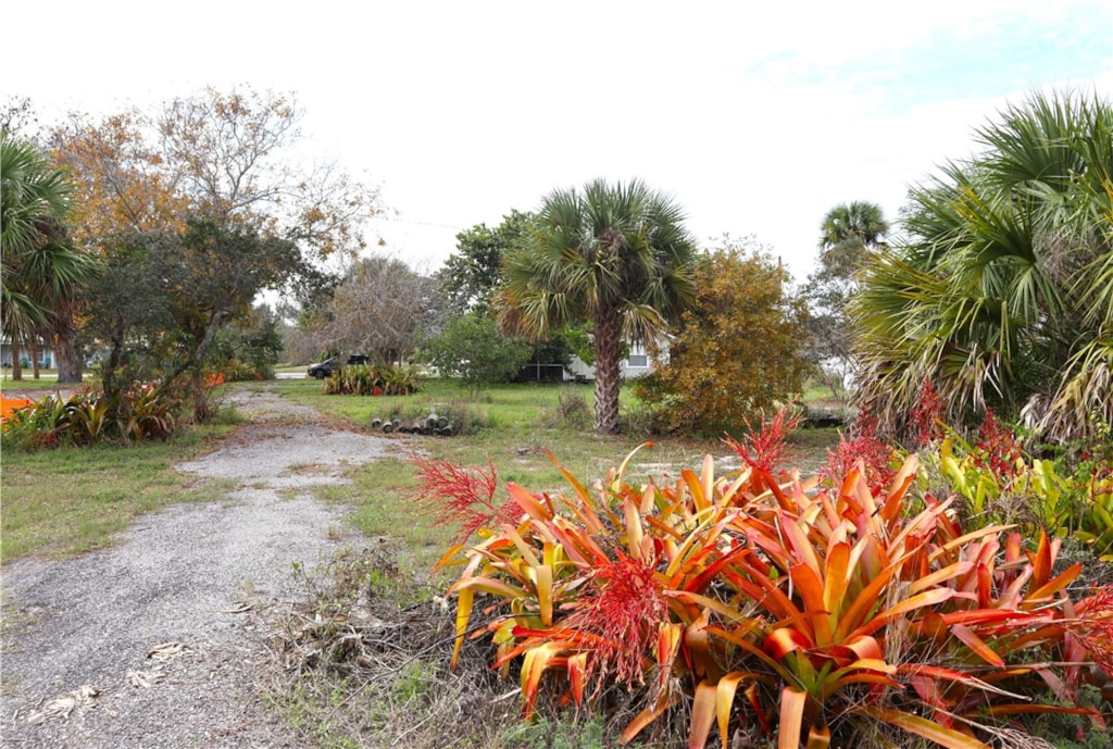 Dixie Heights in Vero Beach Real Estate Matilde Sorensen, Realtor