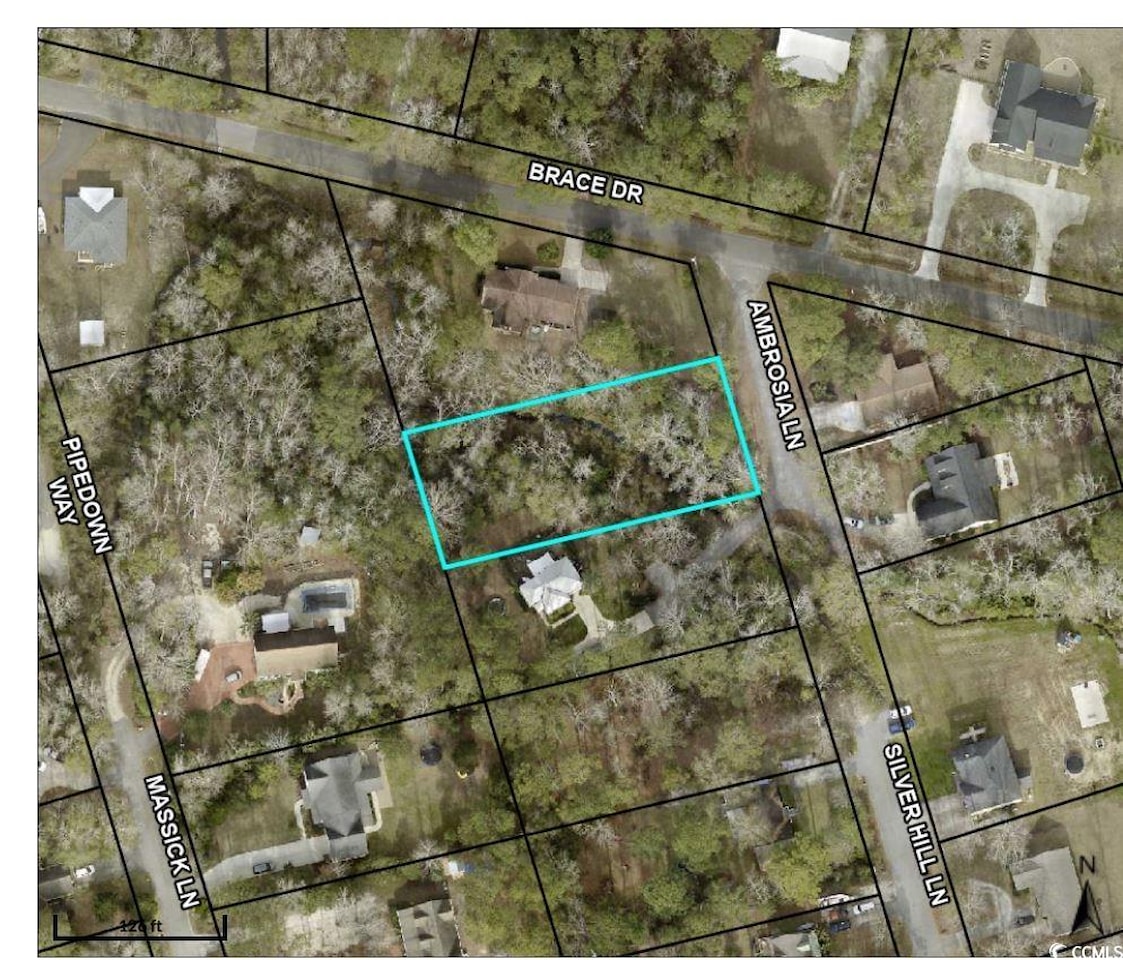 Hagley Estates in Pawleys Island Real Estate MLS 2405919 213 Silver