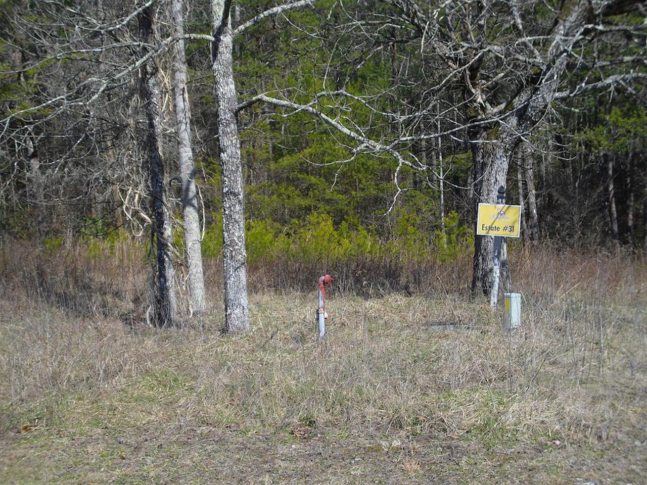 0 wild magnolia jamestown tn 38556 mls 225788