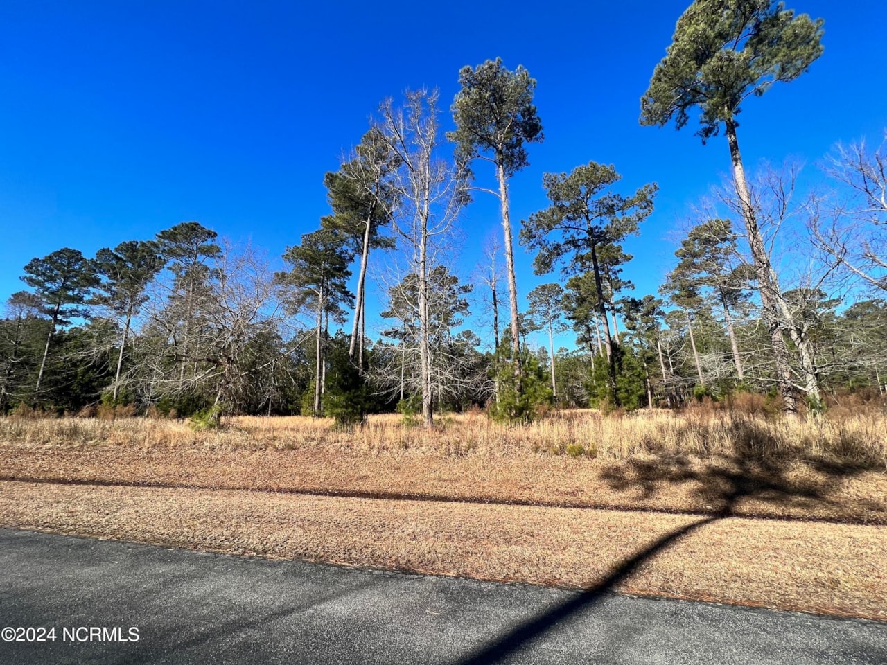 Lot 63 Bailey Pointe Belhaven, NC 27810 MLS 100424263