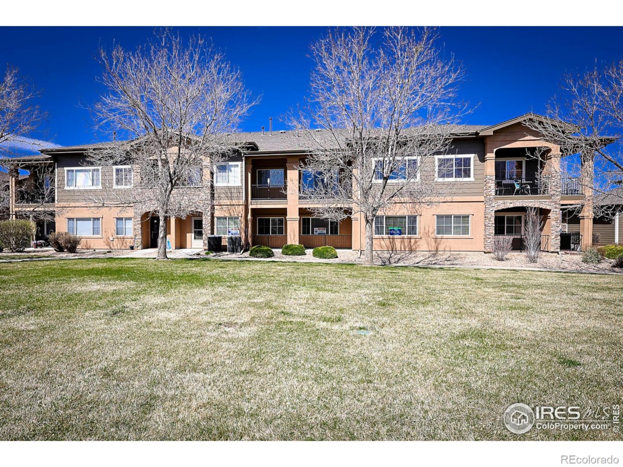 1138 Olympia Ave E Longmont, CO 80504 condo for sale, MLSIR1007057