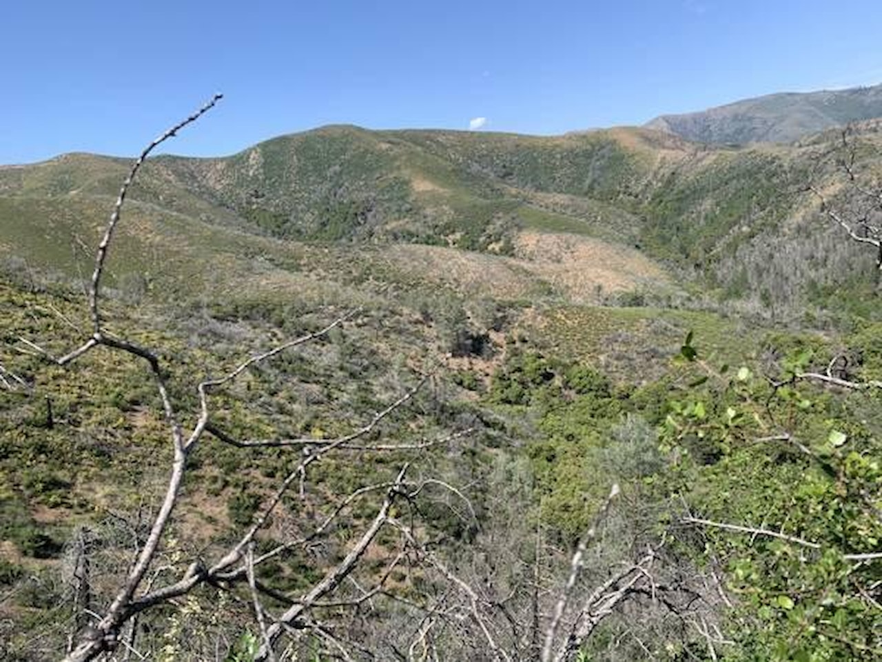 Merry Mountain Road French Gulch, CA 96033 MLS 241646