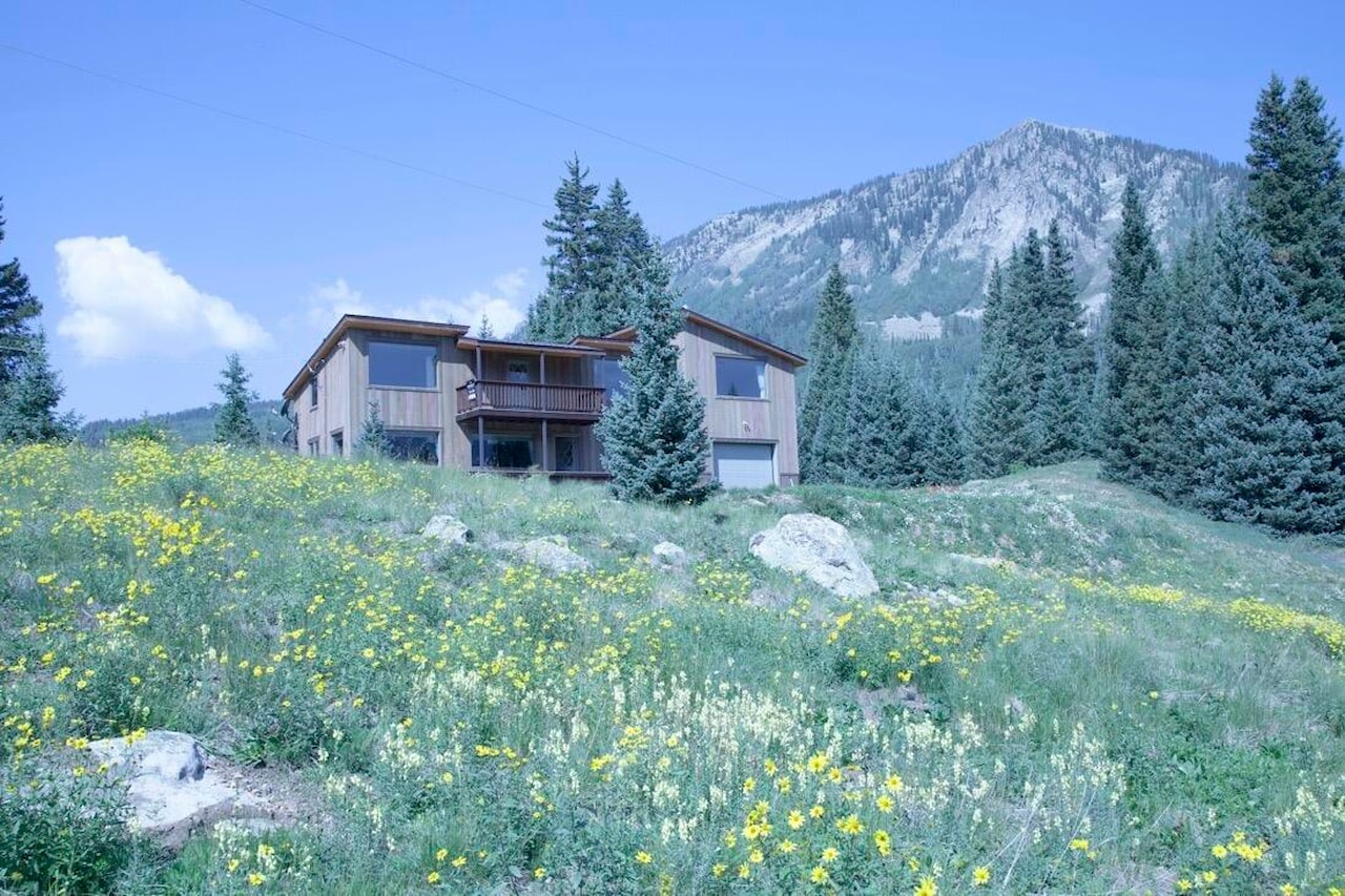 814 S Trout Lake Rd Ophir, COLORADO 81426 | MLS 42514 Photo 1