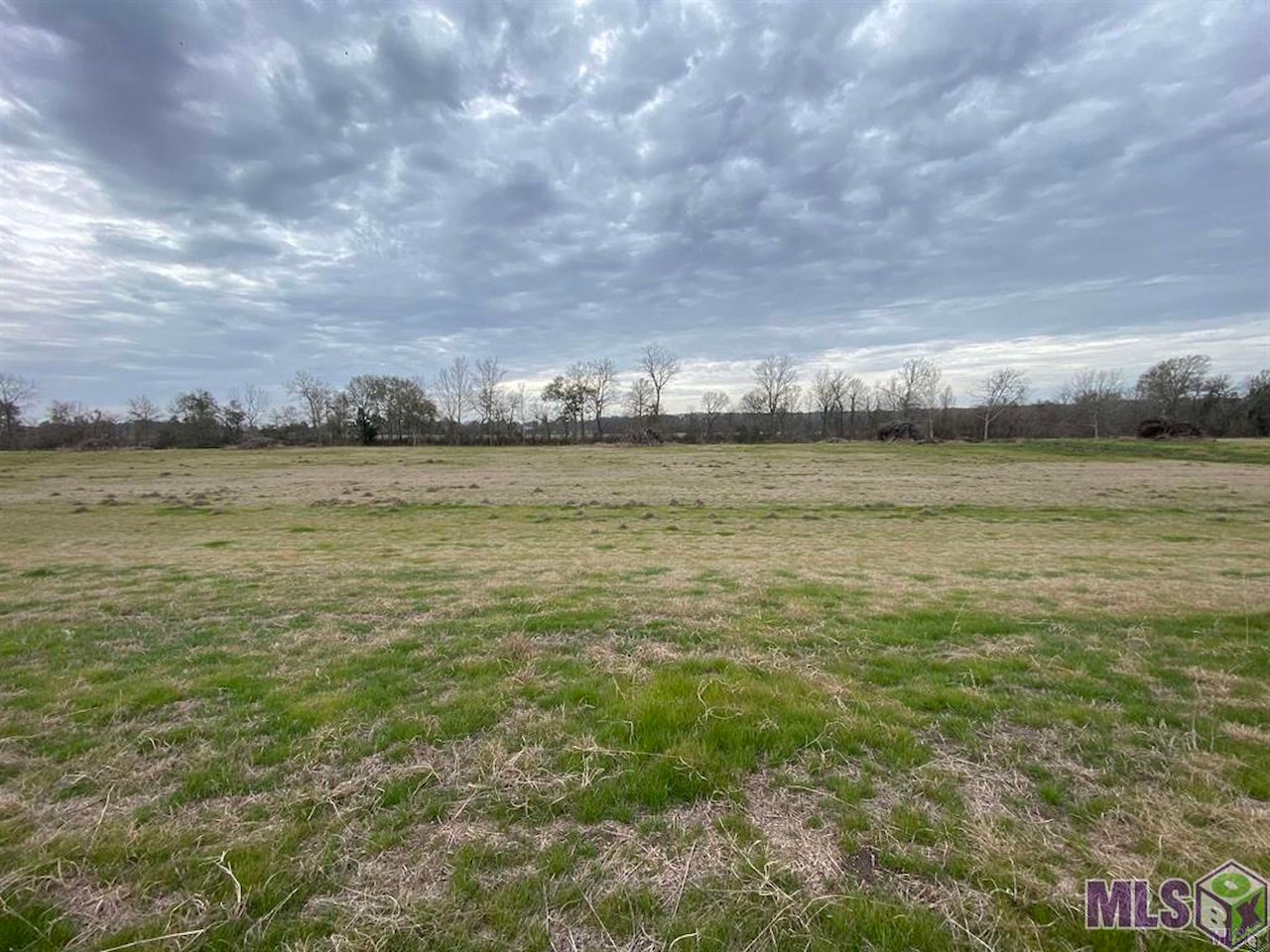 TBD 5153 La Hwy 413 Jarreau, LA 70749 | MLS 2024010361