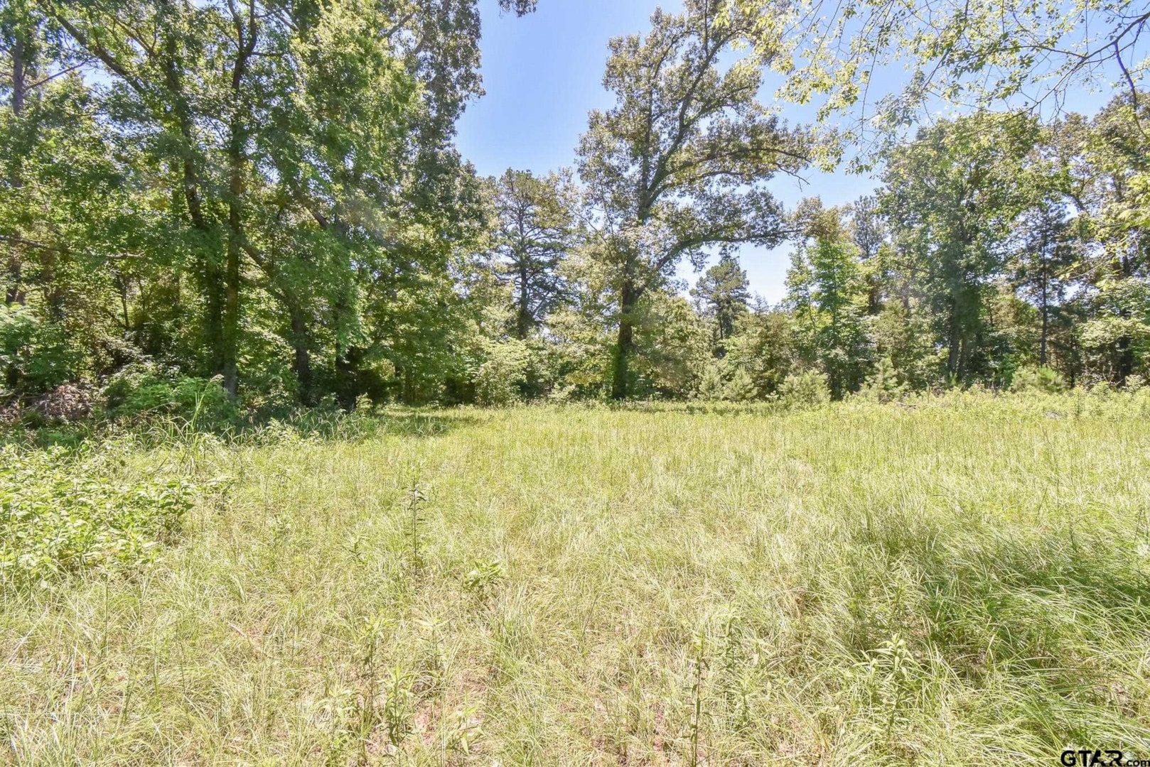 11716 St Hwy 204 E, Jacksonville, TX 75766 MLS 24007788