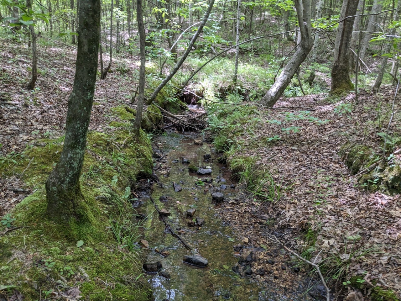 0 Cane Creek Rd Hohenwald, TN 38462 MLS 2667810