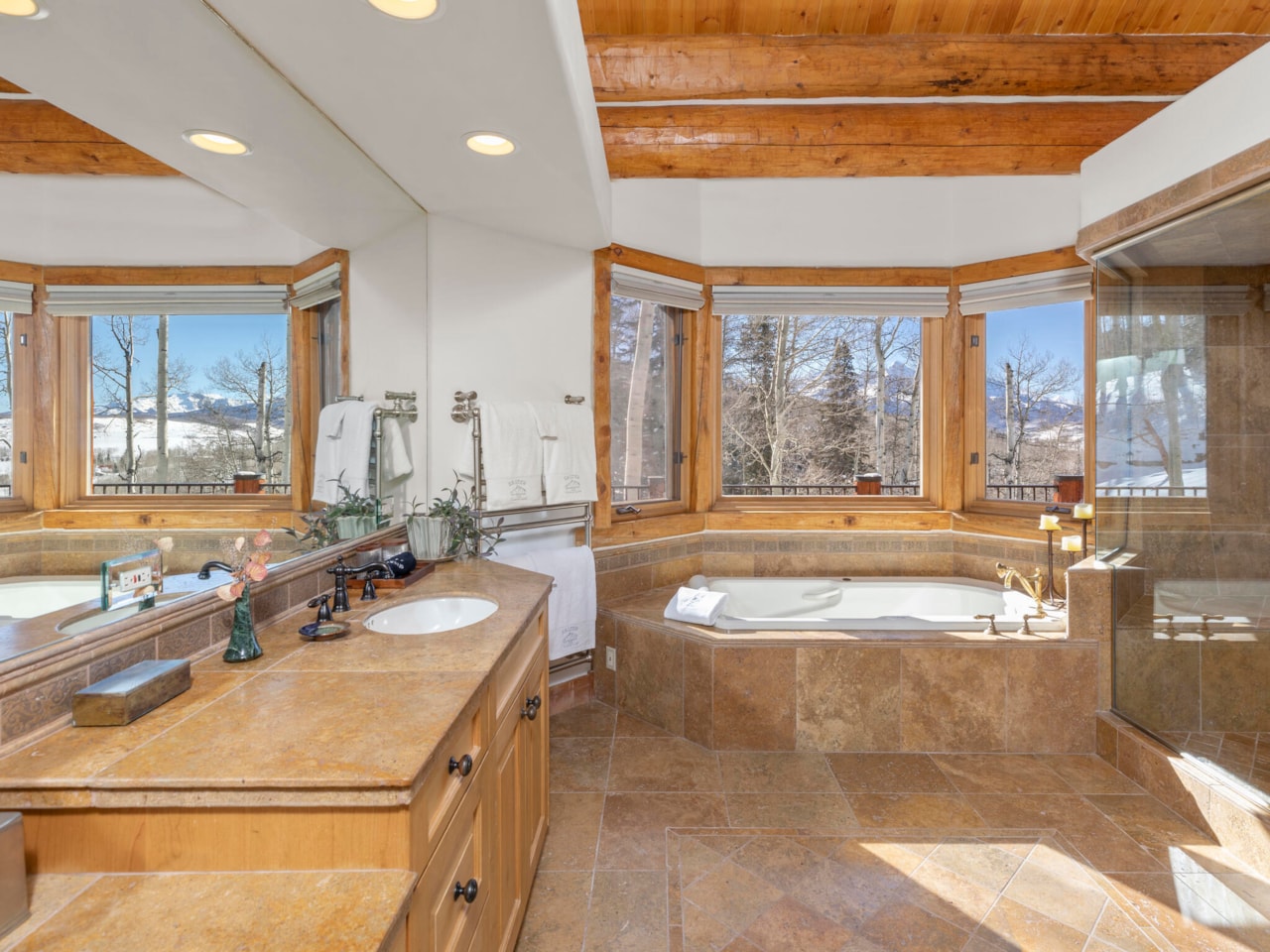 121 Touchdown Dr Mountain Village, COLORADO 81435 | MLS 42147 Photo 13
