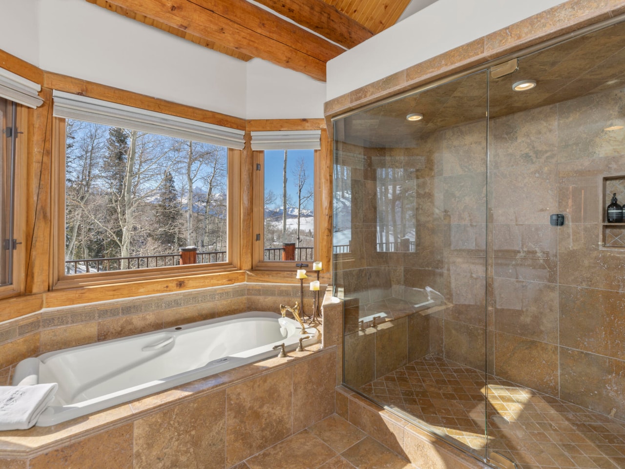 121 Touchdown Dr Mountain Village, COLORADO 81435 | MLS 42147 Photo 14