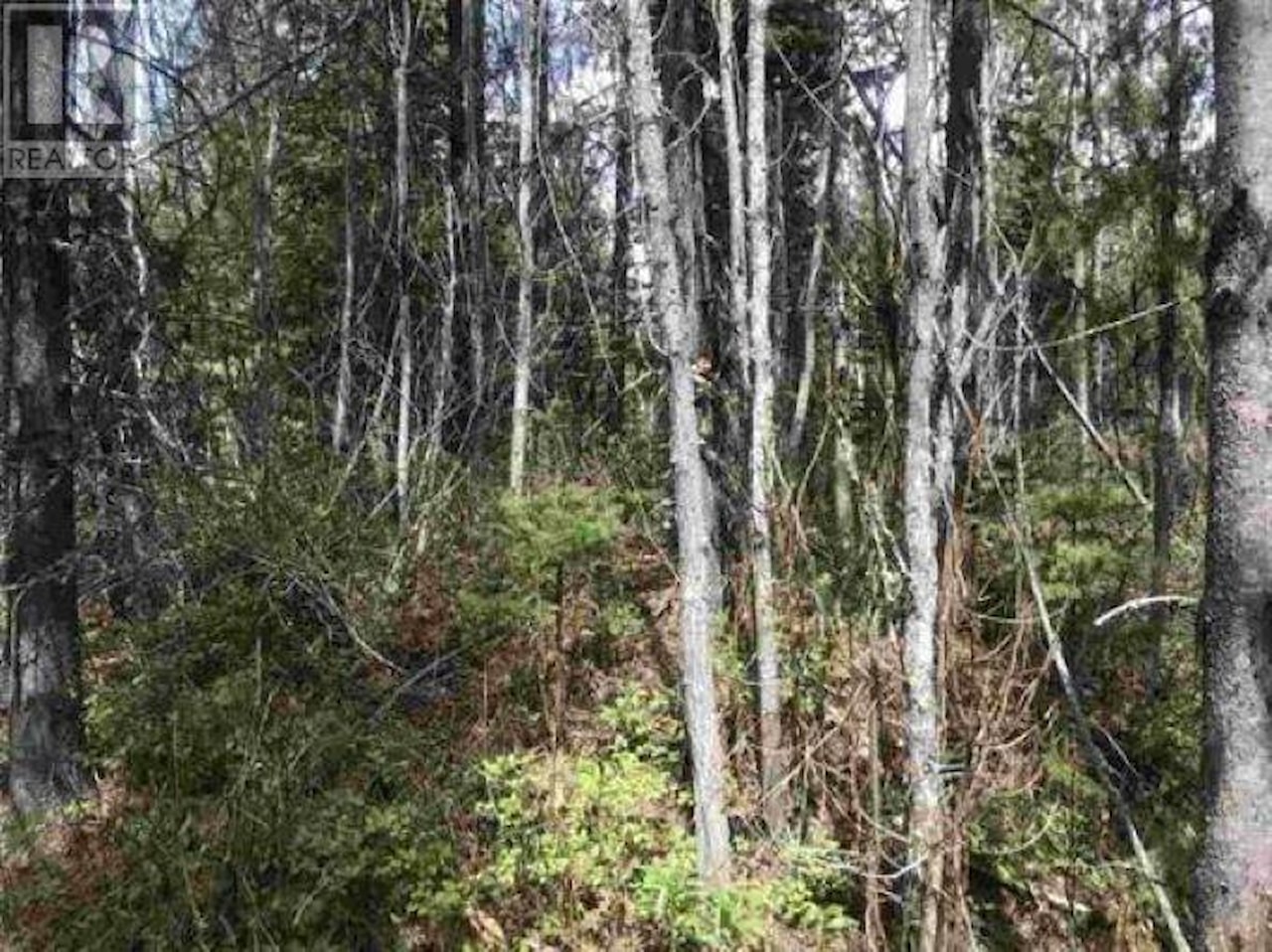 LOT 10 Chief Lake Road Prince BC V2K5Z4. MLS listing R2898514.