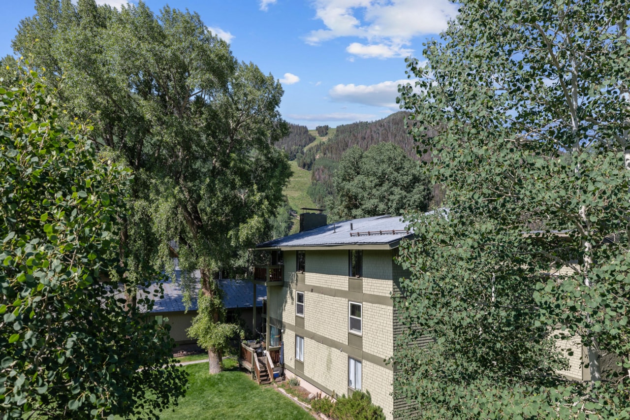 619 W Columbia Ave #E160 Telluride, COLORADO 81435 | MLS 42761 Photo 38