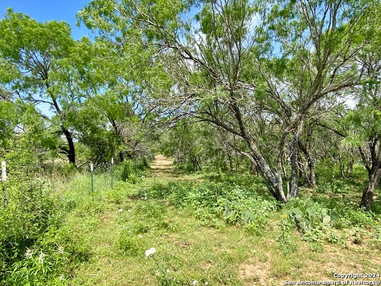 TBD Dairy Road Pleasanton, TX 78064 MLS 1835628