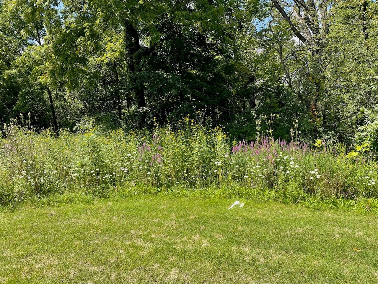 3092 N Spurway Dr in Ann Arbor, MI Photo 11